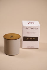 Signature Collection