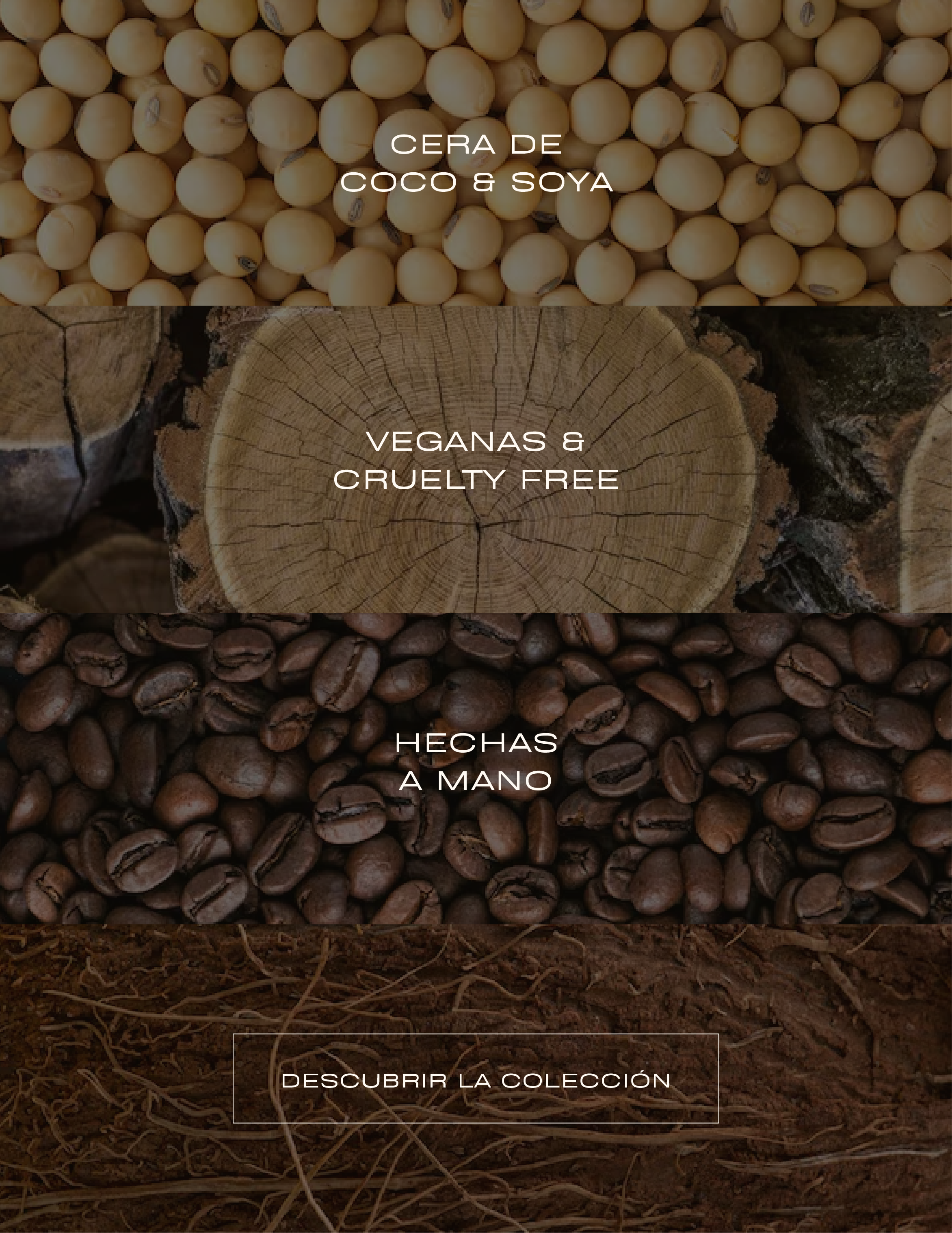 senzoria.aromas