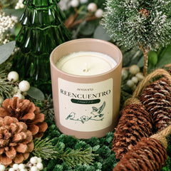 Reencuentro — Frasier Fir